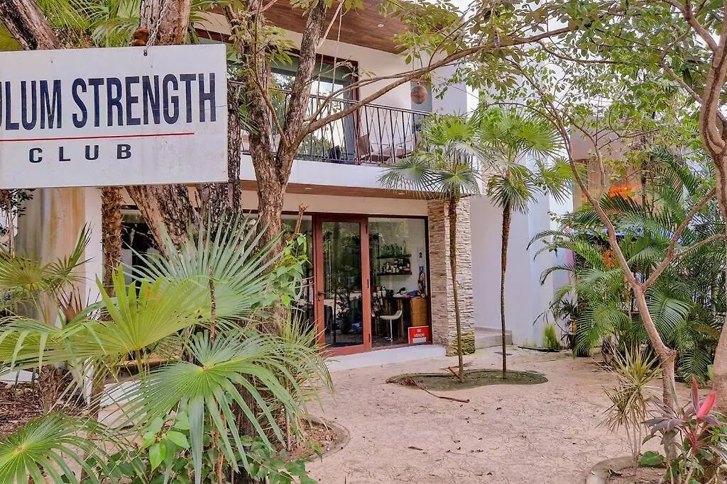 Eco-Friendly And Modern Loft 1 By Noox Apartment Tulum Mexico